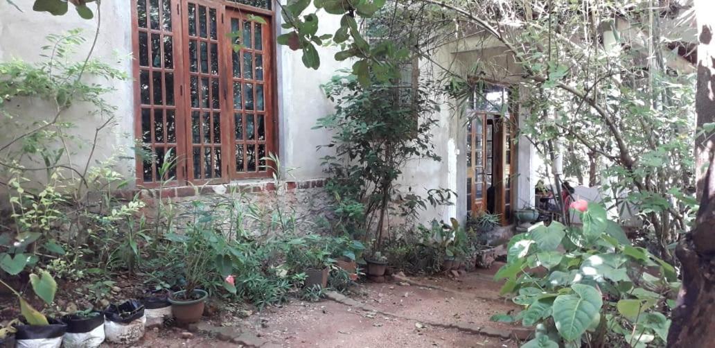 Apartament Kon Tree Shade Dambulla Zewnętrze zdjęcie