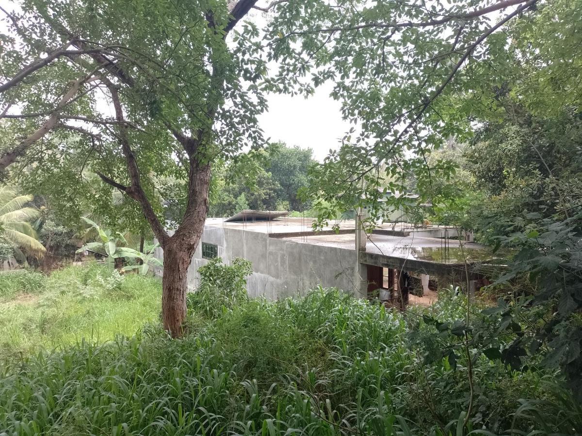 Apartament Kon Tree Shade Dambulla Zewnętrze zdjęcie