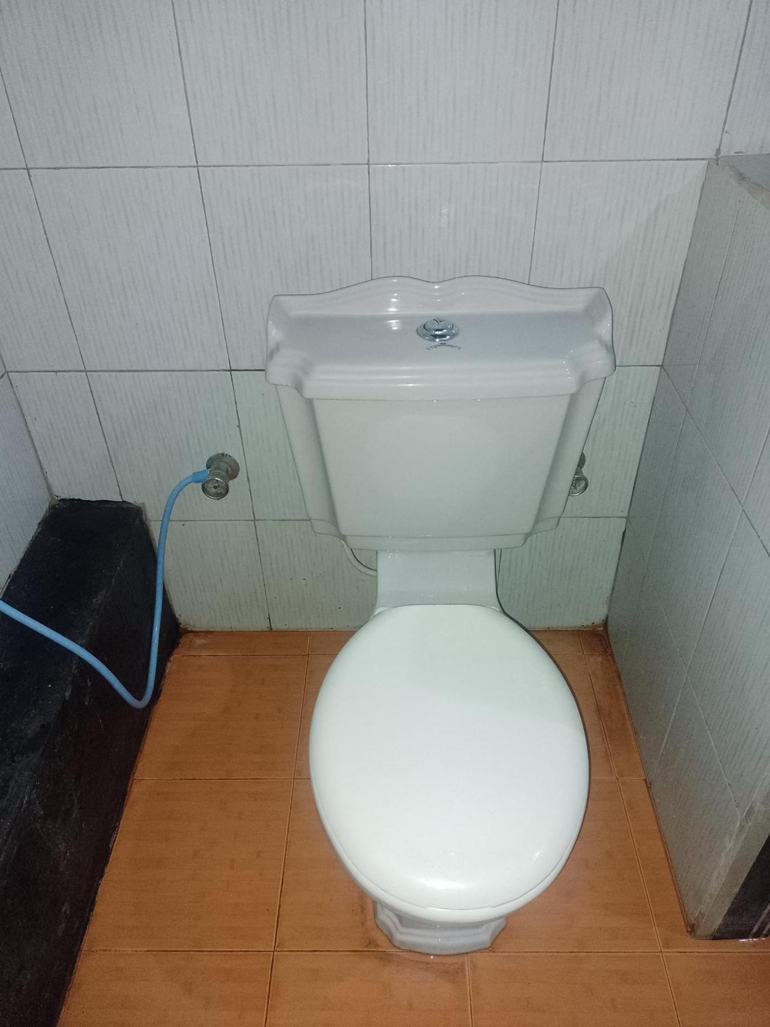 Apartament Kon Tree Shade Dambulla Zewnętrze zdjęcie